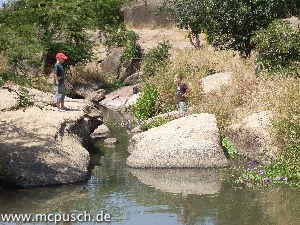 Timon und Etienne auf Felsen am Fluß