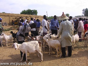 Schafsmarkt