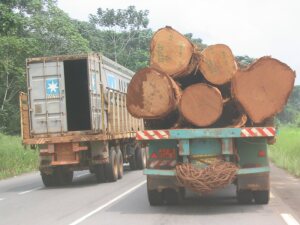 Holztransporter